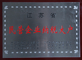 江苏省民营企业纳税大户